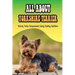 All About Yorkshire Terrier: History, Traits, Temperament, Caring, Training, And More: At What Age Can You Start Training A Yorkie Puppy?