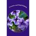 Ceramics and Mold Making: Helps and Hints
