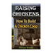 Raising Chickens: How To Build A Chicken Coop