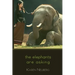 The Elephants Are Asking