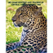 Big-game hunting and trading in Central Africa 1894 to 1904