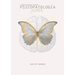 Psicopatología y caos (2a edición)
