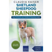 Shetland Sheepdog Training - Dog Training for your Shetland Sheepdog puppy