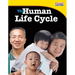 The Human Life Cycle