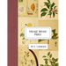 Vintage Botany Prints