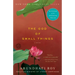 The God of Small Things