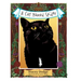 A Cat Named Spider