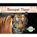 Bengal Tiger