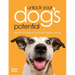 Unlock Your Dog's Potential
