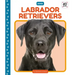 Labrador Retrievers