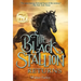 The Black Stallion Returns