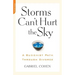 The Storms Can't Hurt the Sky: The Buddhist Path Through Divorce