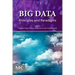 Big Data: Principles and Paradigms