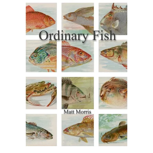 Ordinary Fish/Watt Worris