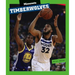 Minnesota Timberwolves