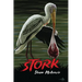 Stork