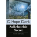 Salkehatchie Secret: Book 5 in the Carolina Slade Mysteries