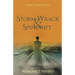 Storm Wrack & Spindrift