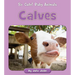 Calves