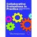 Collaborative Evaluation in Practice: Insights from Business, Nonprofit, and Education