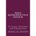 Male Reproductive System: Clinical Anatomy and Physiology