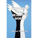Economics for a Beautiful World