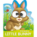 I'm Just a Little Bunny