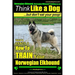 Norwegian Elkhound, Norwegian Elkhound Training AAA AKC Think Like a Dog But Don't Eat Your Poop! Norwegian Elkhound Breed Expert Training: Here's EXA