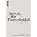 Spinoza, the Transindividual