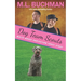 Dog Team Scouts: a Secret Service dog romance story