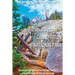 7 Days & Beyond in Grand Teton National Park: Discover the Highlights and the Road Less Traveled in Grand Teton National Park and Jackson Hole