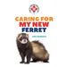 Caring for My New Ferret
