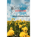 Dandelions: Multiverse of Poems -Volume 1