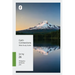 Faith Connections Adult Bible Study Guide Winter (March/April/May 2026)