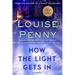 How the Light Gets in