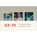 Anna & Bernhard Blume: Polaroid-Collages 1975-2000