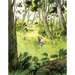 Clover: A Picture Book