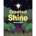 Created to Shine