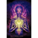 For the Sake of Evolution: The Indigo Child