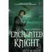 Enchanted Knight