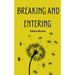 Breaking and Entering