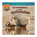 Las Necesidades de Los Animales: Animal Needs