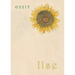 Ilse