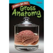 Strange But True: Gross Anatomy: Gross Anatomy