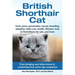 British Shorthair Cat: From bringing your kitten home to comforting your senior age beloved companion