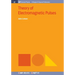 Theory of Electromagnetic Pulses