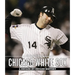 The Chicago Tribune Book of the Chicago White Sox: A Decade-By-Decade History