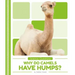 Why Do Camels Have Humps?