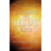 Getting Into Jesus' Life
