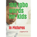 100 Igbo Words for Kids: in Pictures